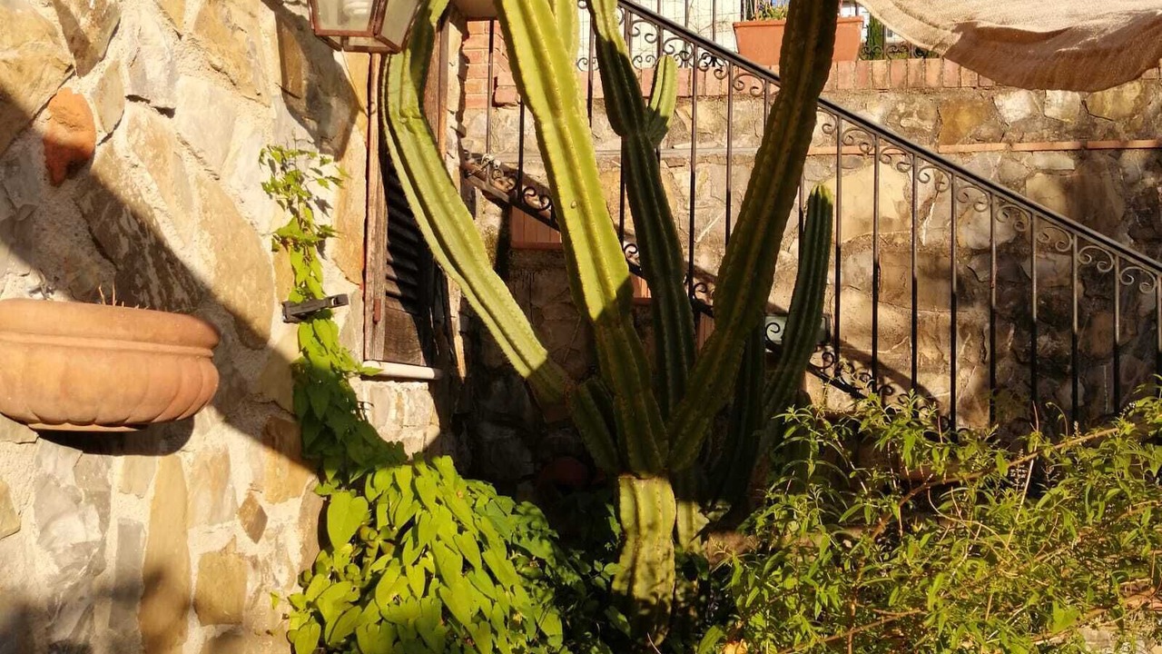 Photo of Outdoor in Vallo Scalo