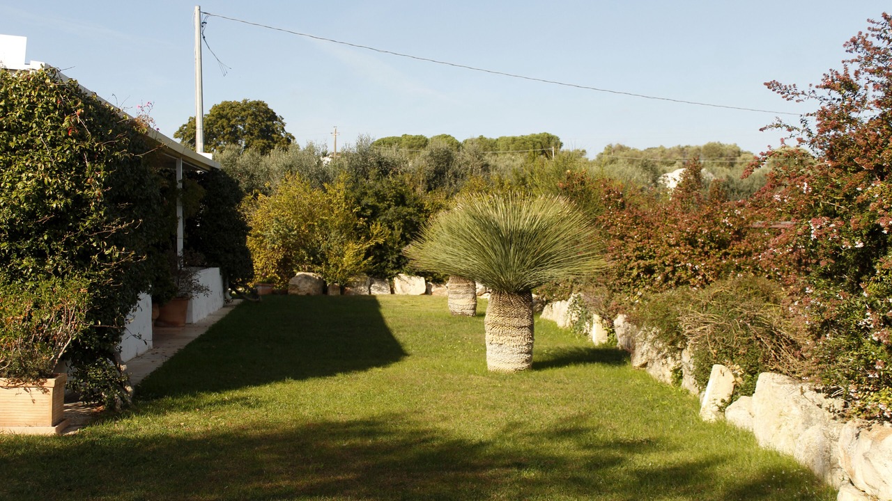 Photo of Outdoor in Ostuni