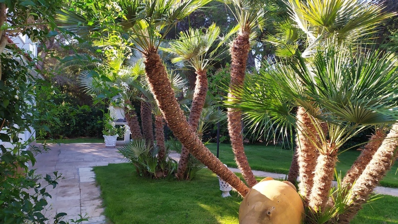Photo of Outdoor in Rosa Marina