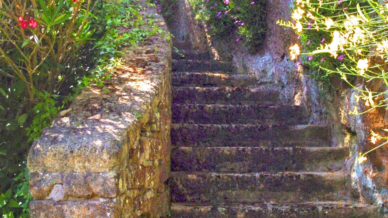 Photo of Outdoor in Capranica