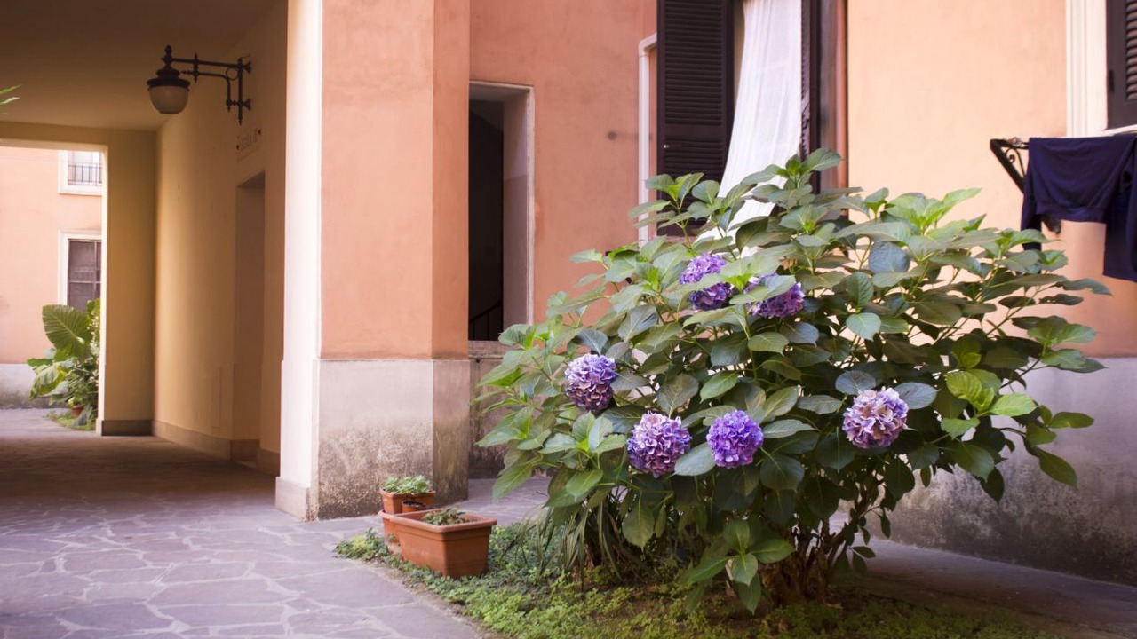 Photo of Outdoor in Testaccio