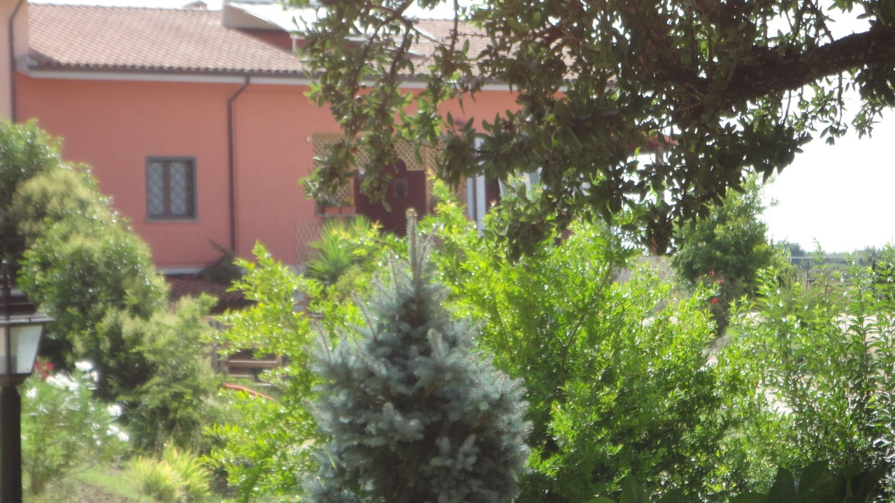Photo of Outdoor in Lake Bracciano
