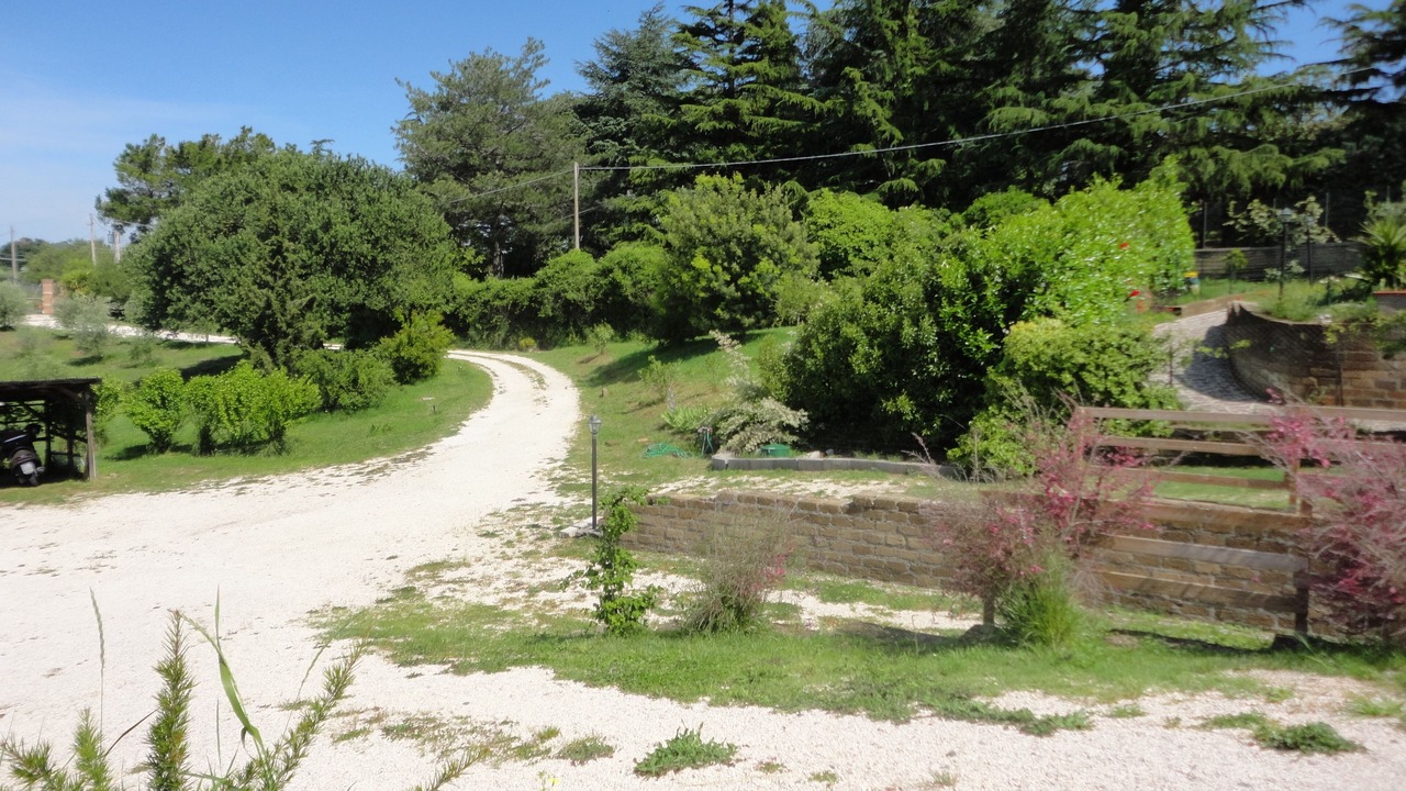 Photo of Outdoor in Lake Bracciano