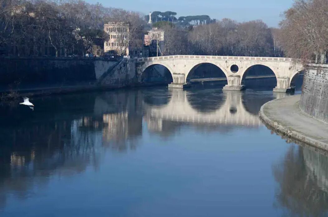 Photo of Others in Navona