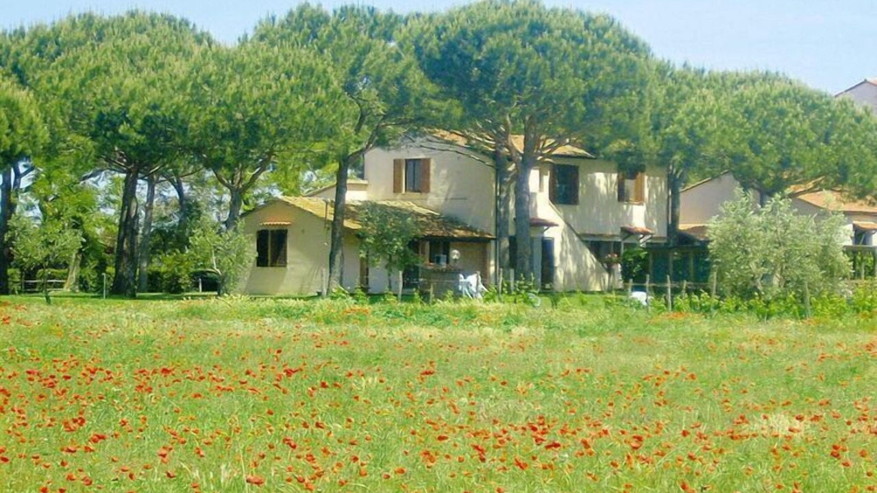 Photo of Outdoor in Marina di Grosseto