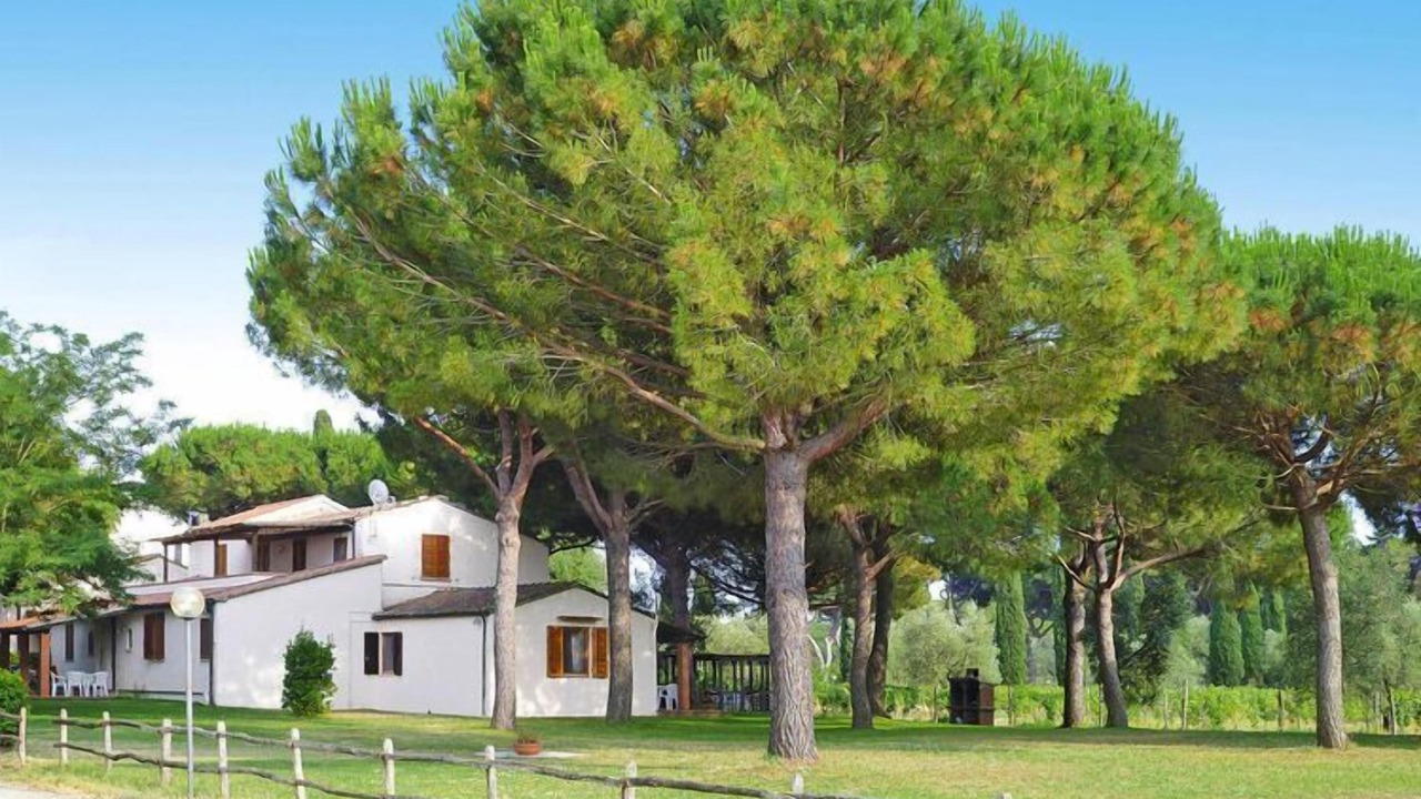 Photo of Outdoor in Marina di Grosseto