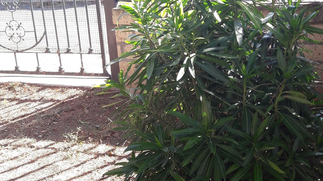 Photo of Outdoor in Lido di Tarquinia
