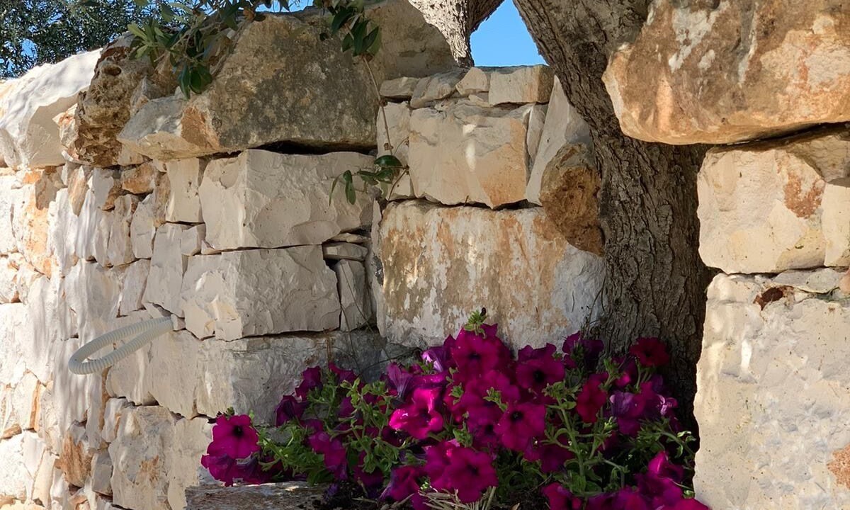 Photo of Outdoor in Martina Franca