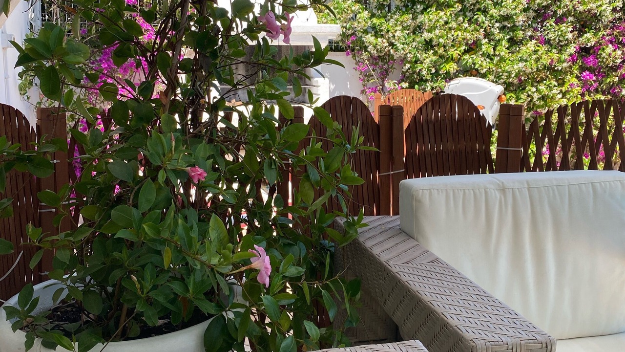 Photo of Patio Balcony in Fregenae