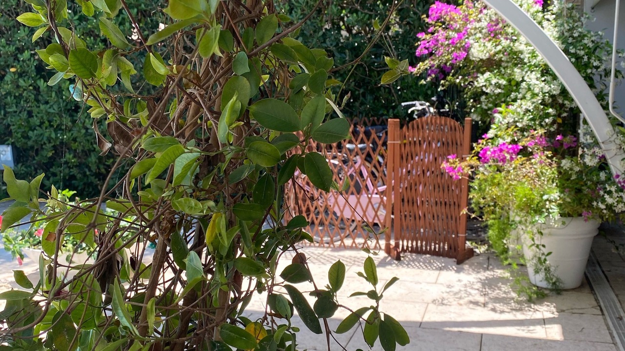 Photo of Outdoor in Fregenae