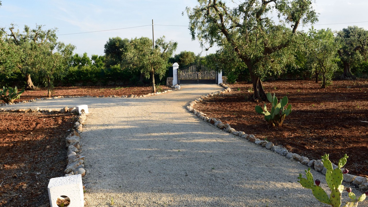Photo of Outdoor in San Vito dei Normanni