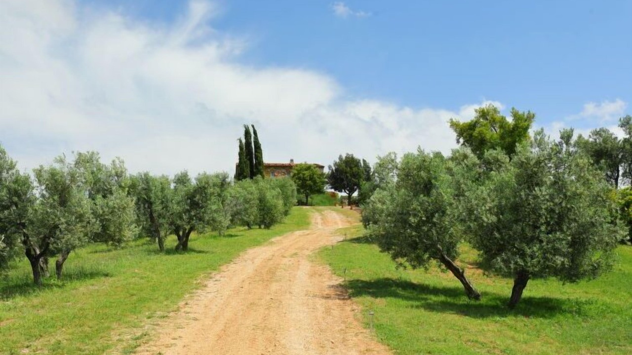 Photo of Others in Scansano