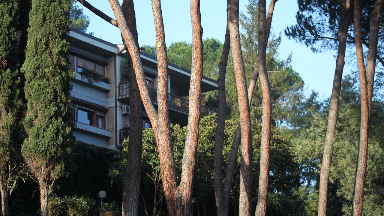 Photo of Outdoor in Tor di Quinto