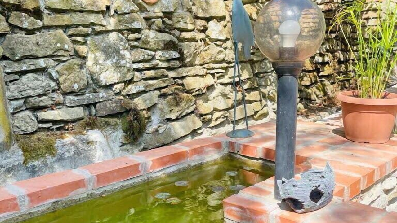 Photo of Outdoor in Ferretto