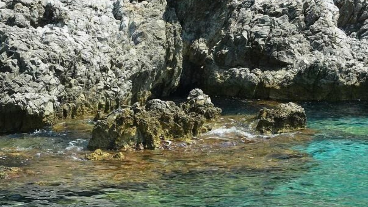 Photo of Others in Palinuro