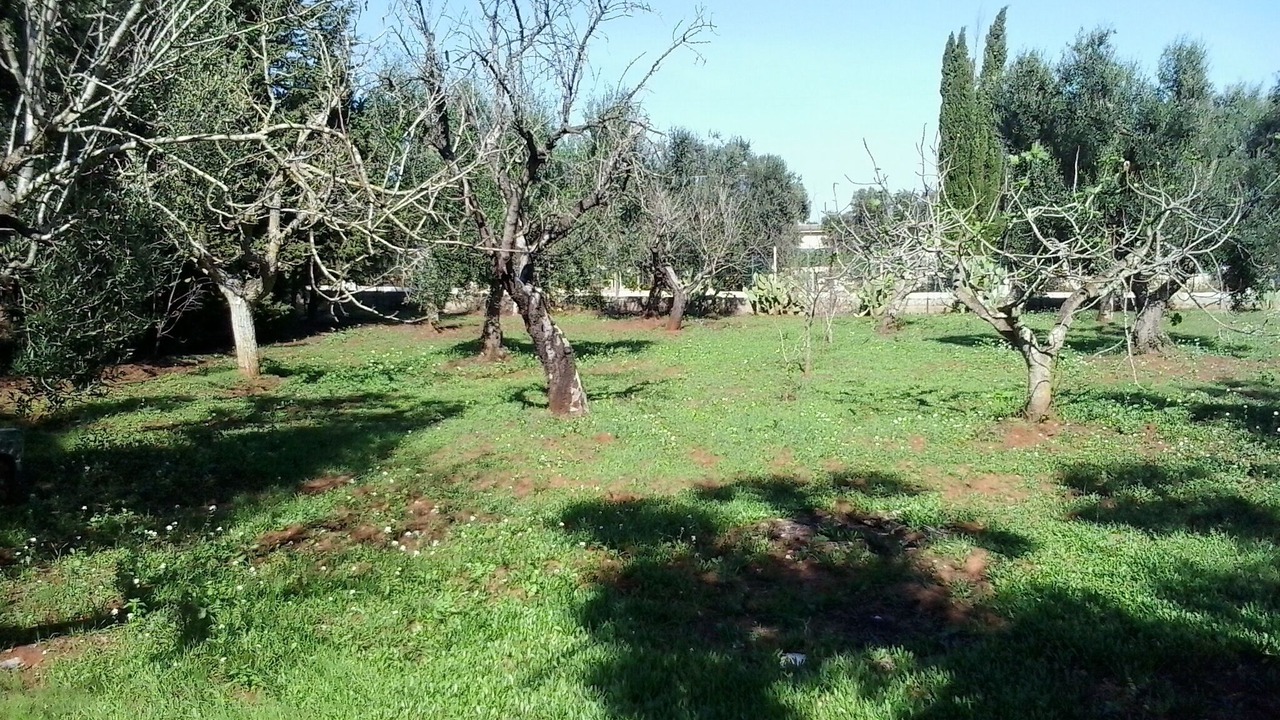 Photo of Outdoor in San Vito dei Normanni