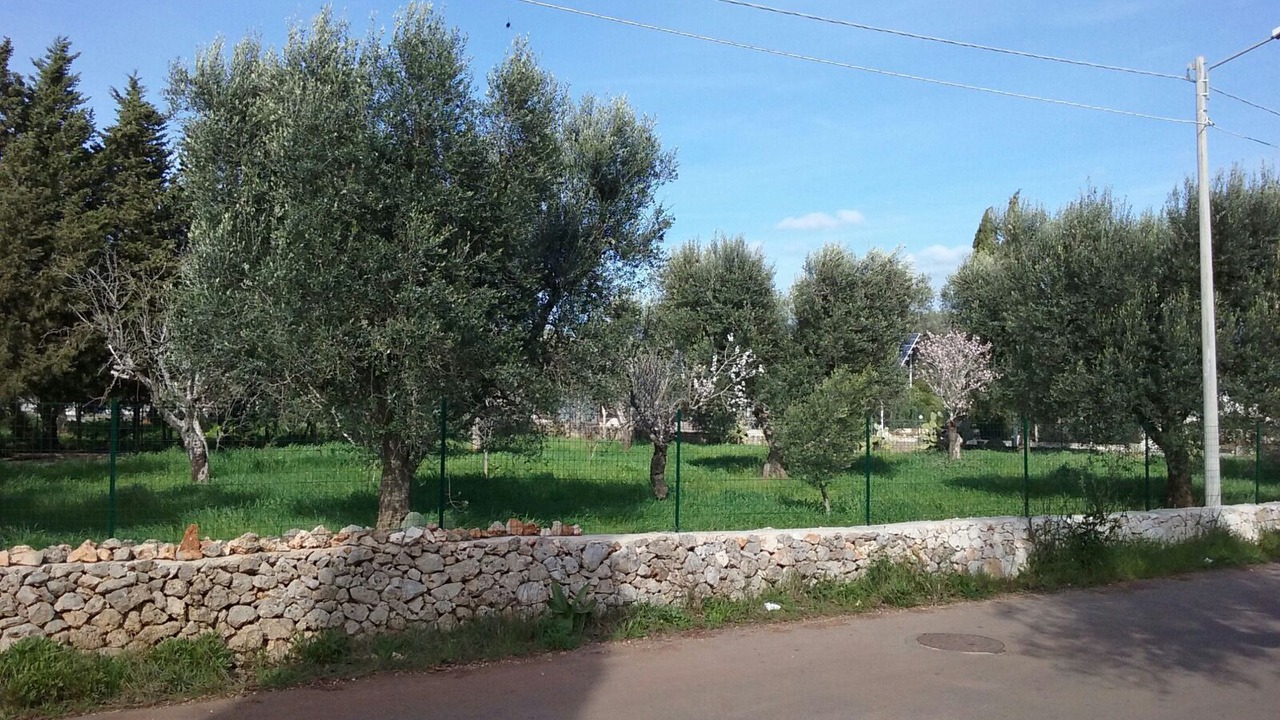 Photo of Outdoor in San Vito dei Normanni