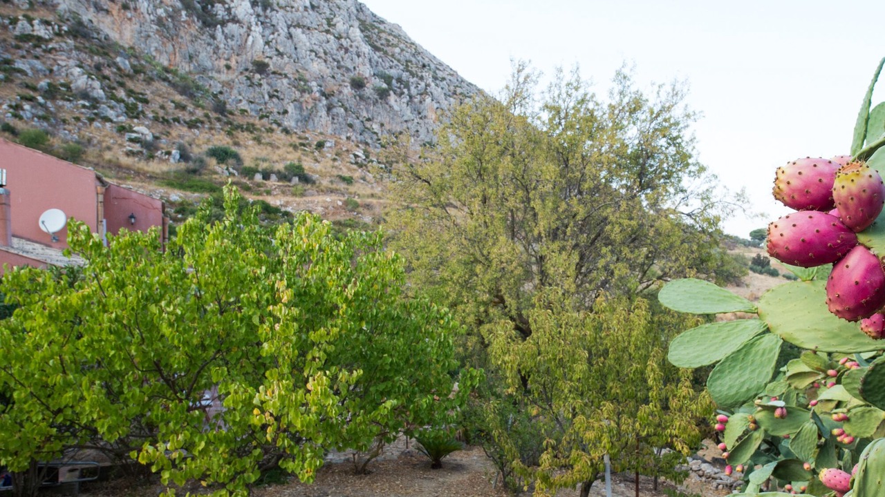 Photo of Outdoor in Mockarta