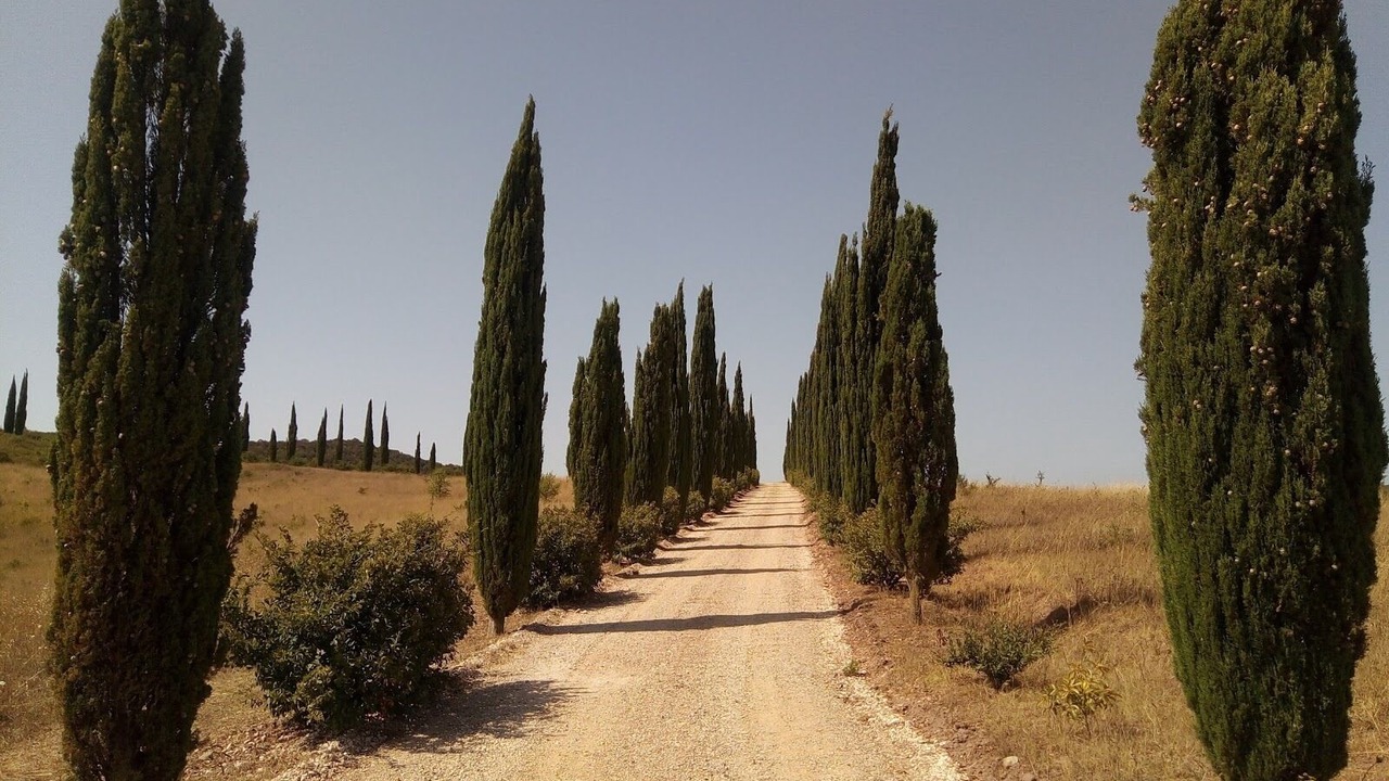 Photo of Outdoor in Gavorrano