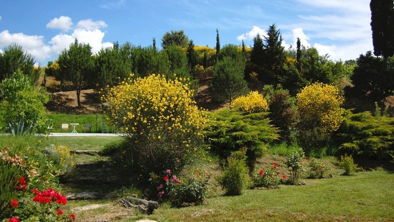 Photo of Outdoor in Rapolano Terme