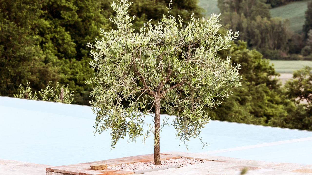 Photo of Outdoor in Umbertide
