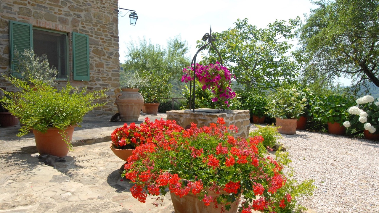 Photo of Outdoor in Casalini