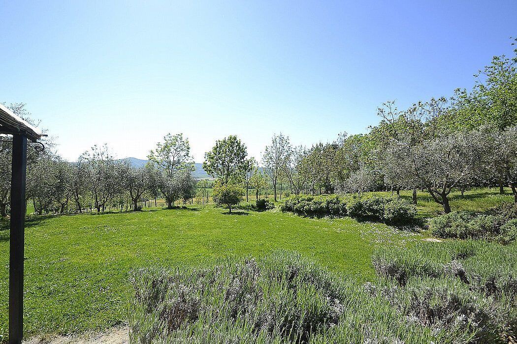 Photo of Outdoor in Castiglione del Lago