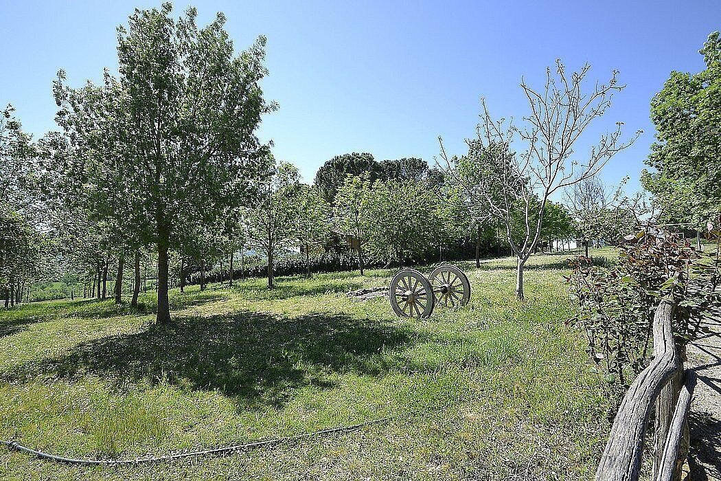 Photo of Outdoor in Castiglione del Lago