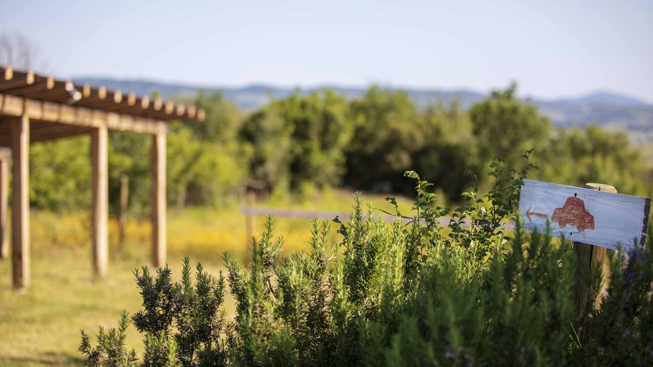 Photo of Outdoor in Semproniano