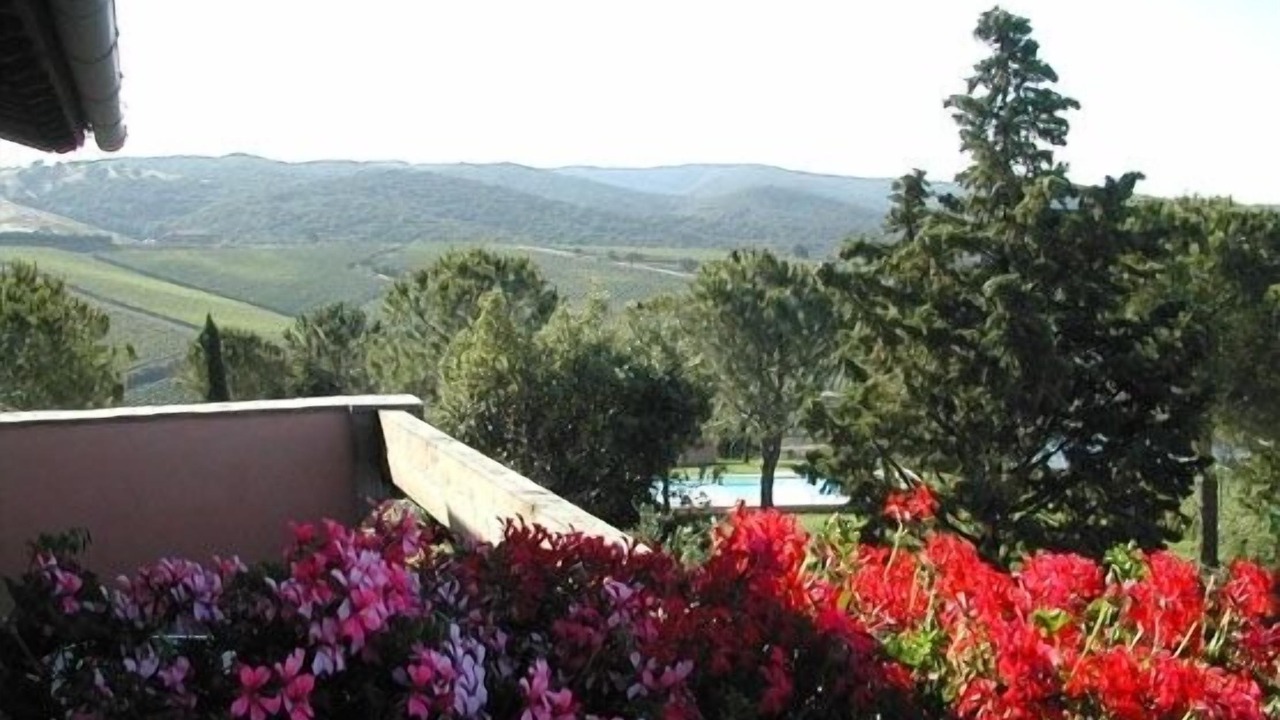Photo of Outdoor in Grosseto