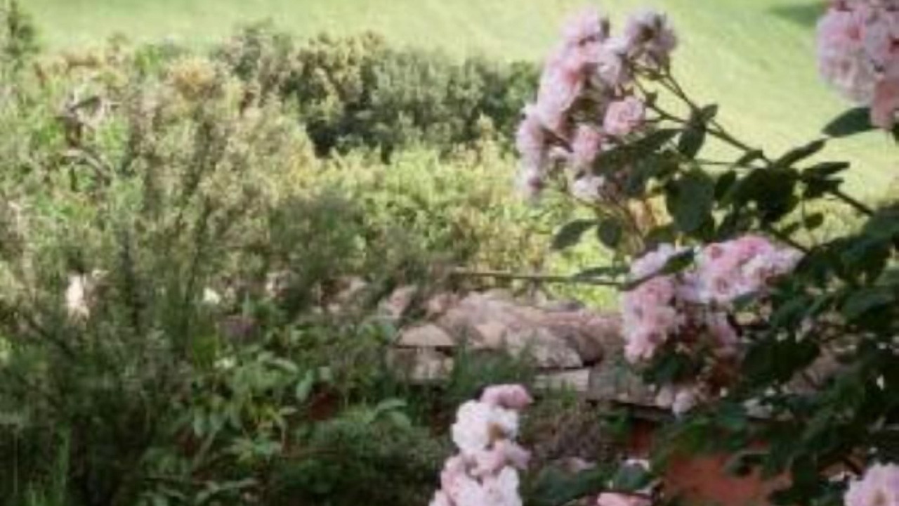 Photo of Outdoor in Narni