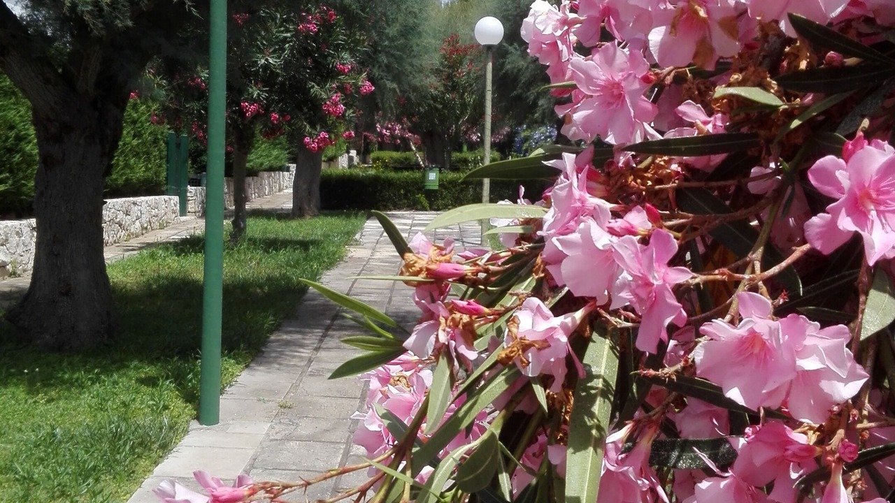 Photo of Outdoor in Santa Caterina