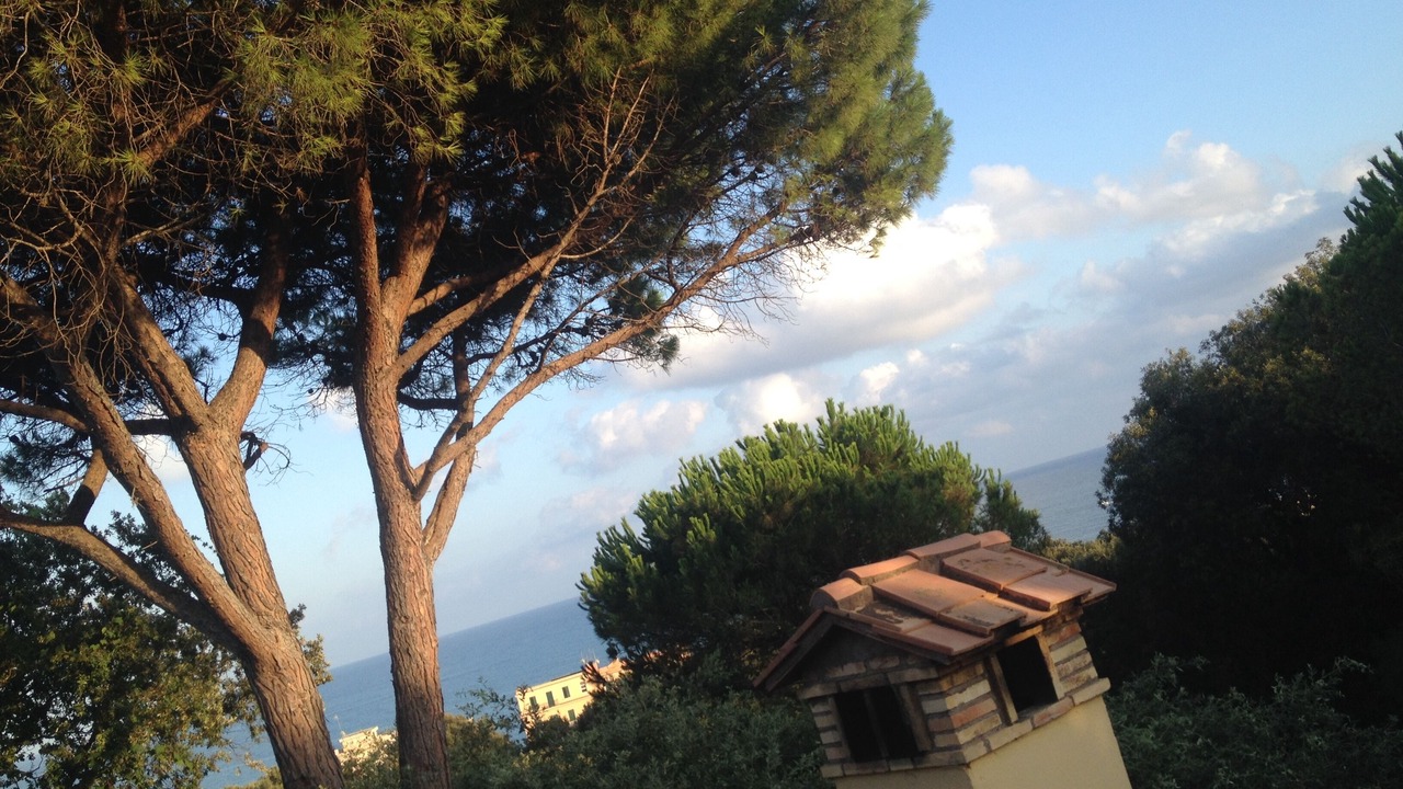 Photo of Others in Nettuno