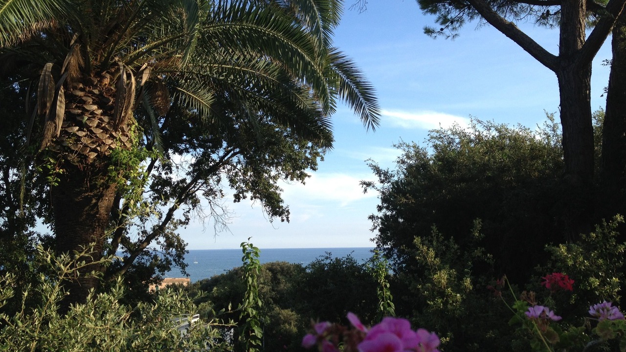 Photo of Outdoor in Nettuno