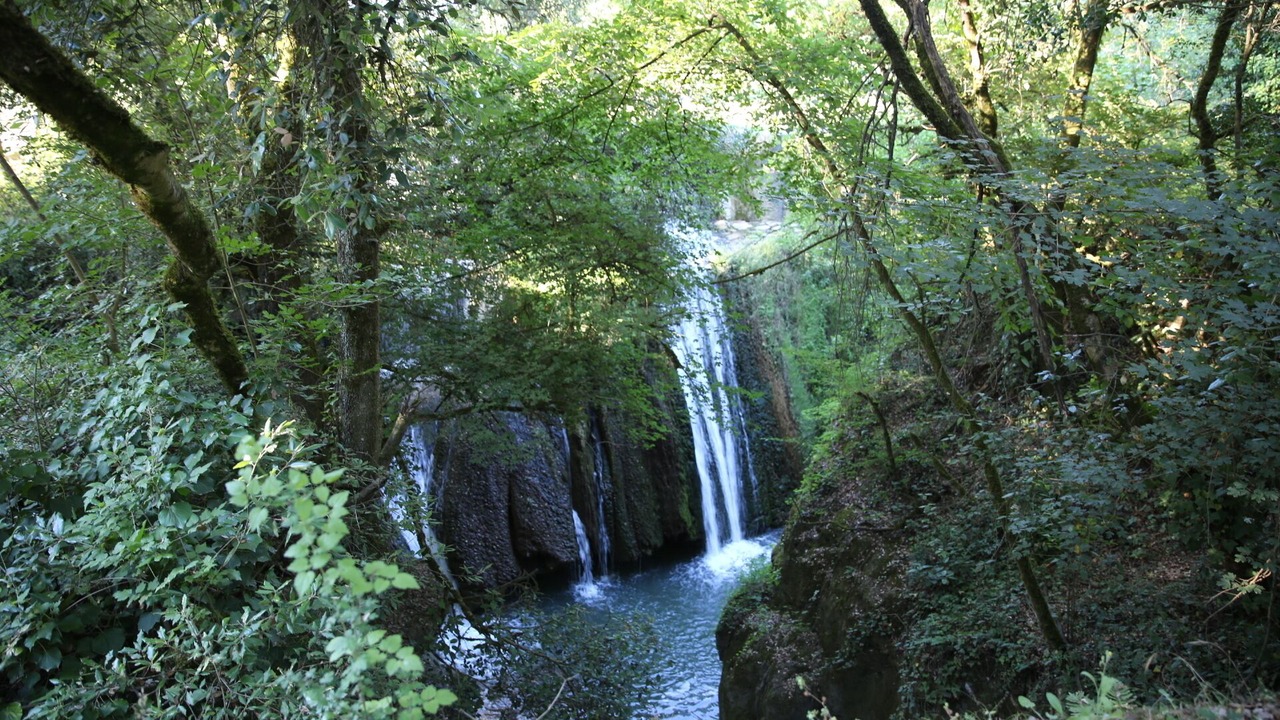 Photo of Outdoor in Formello