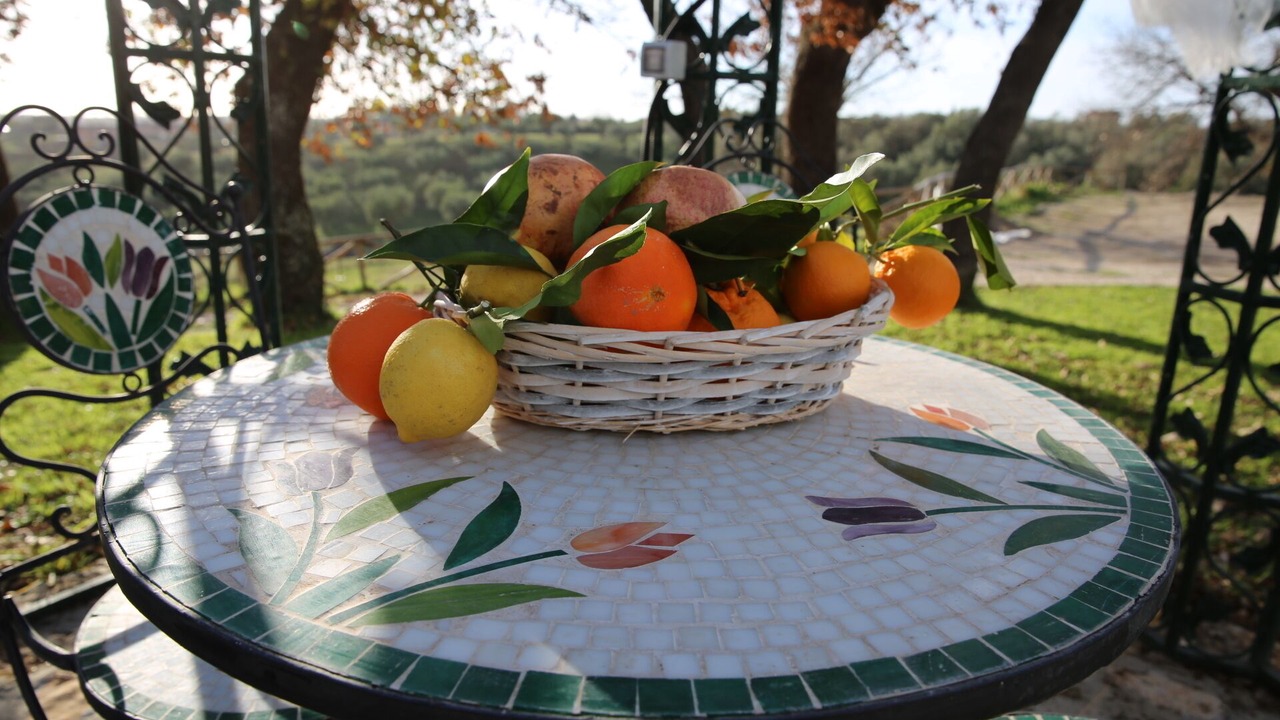Photo of Outdoor in Formello