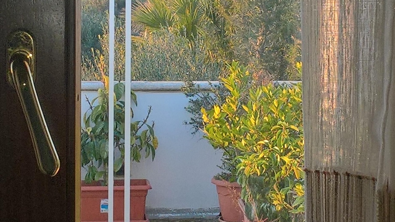 Photo of Others in Casarano