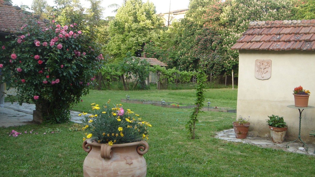 Photo of Outdoor in Umbertide
