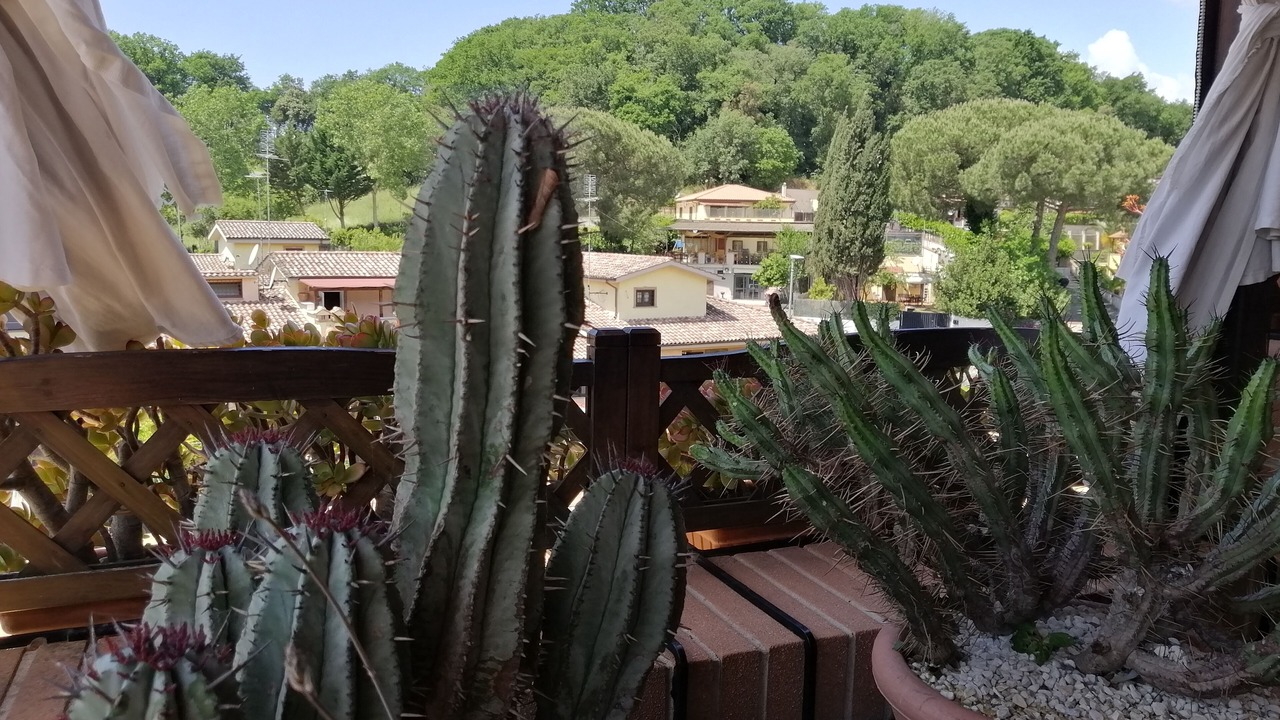 Photo of Outdoor in Ara Nova