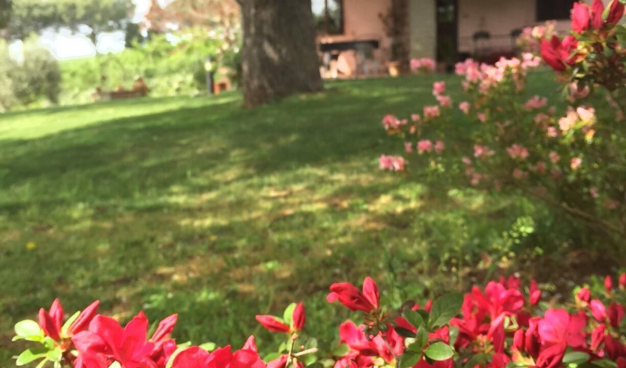 Photo of Outdoor in Capranica