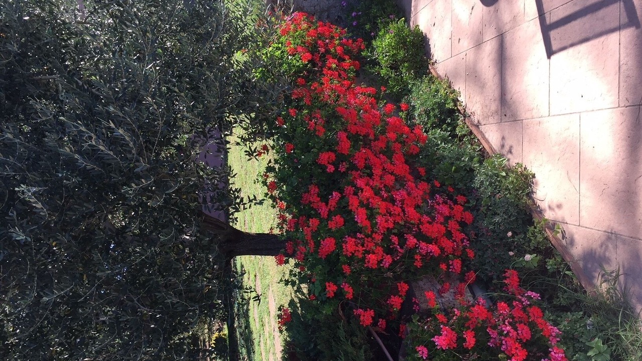 Photo of Outdoor in Capranica