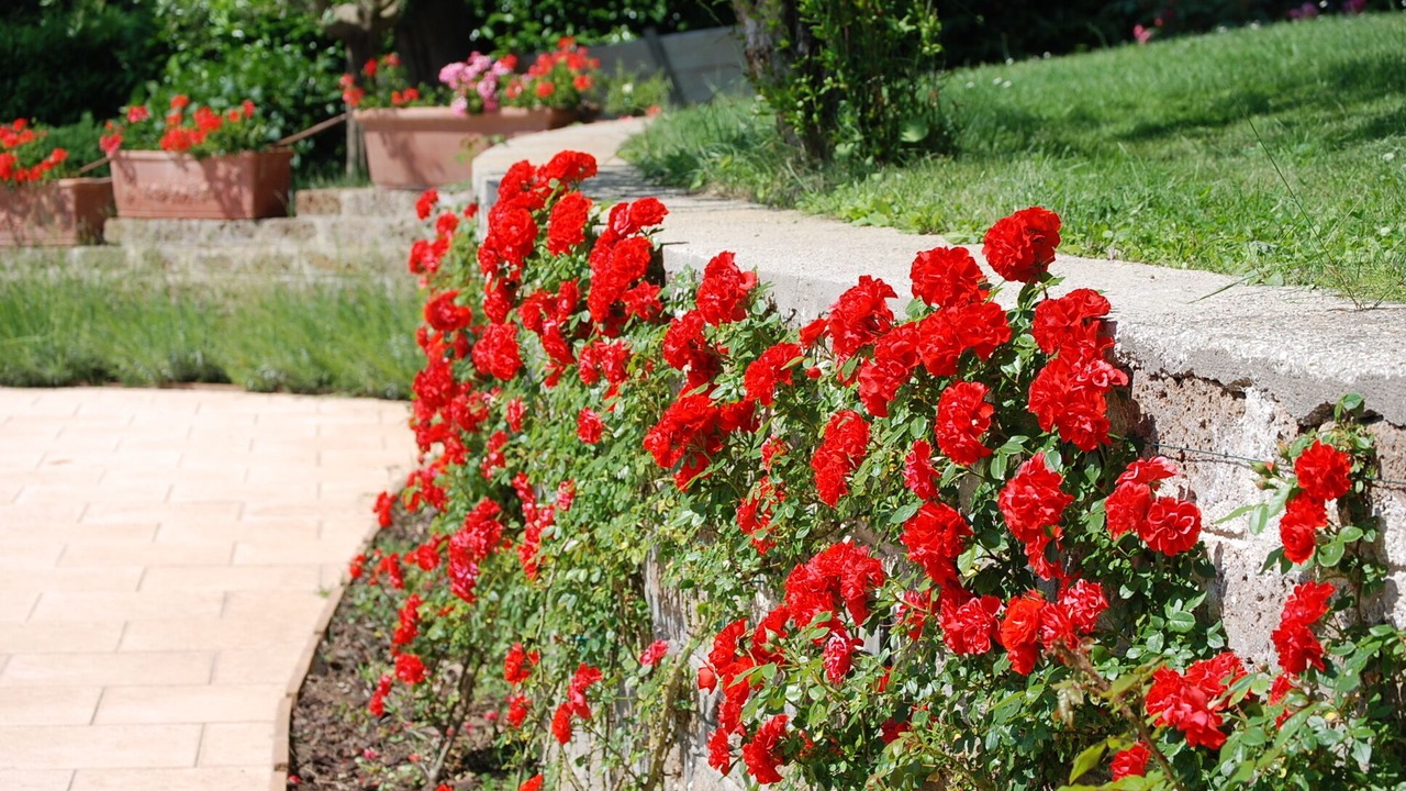 Photo of Outdoor in Capranica