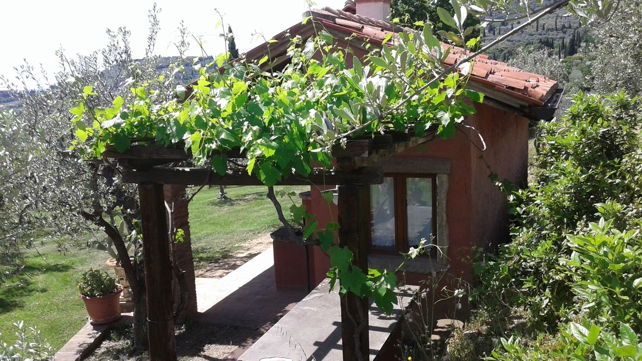 Photo of Outdoor in Castiglion Fiorentino