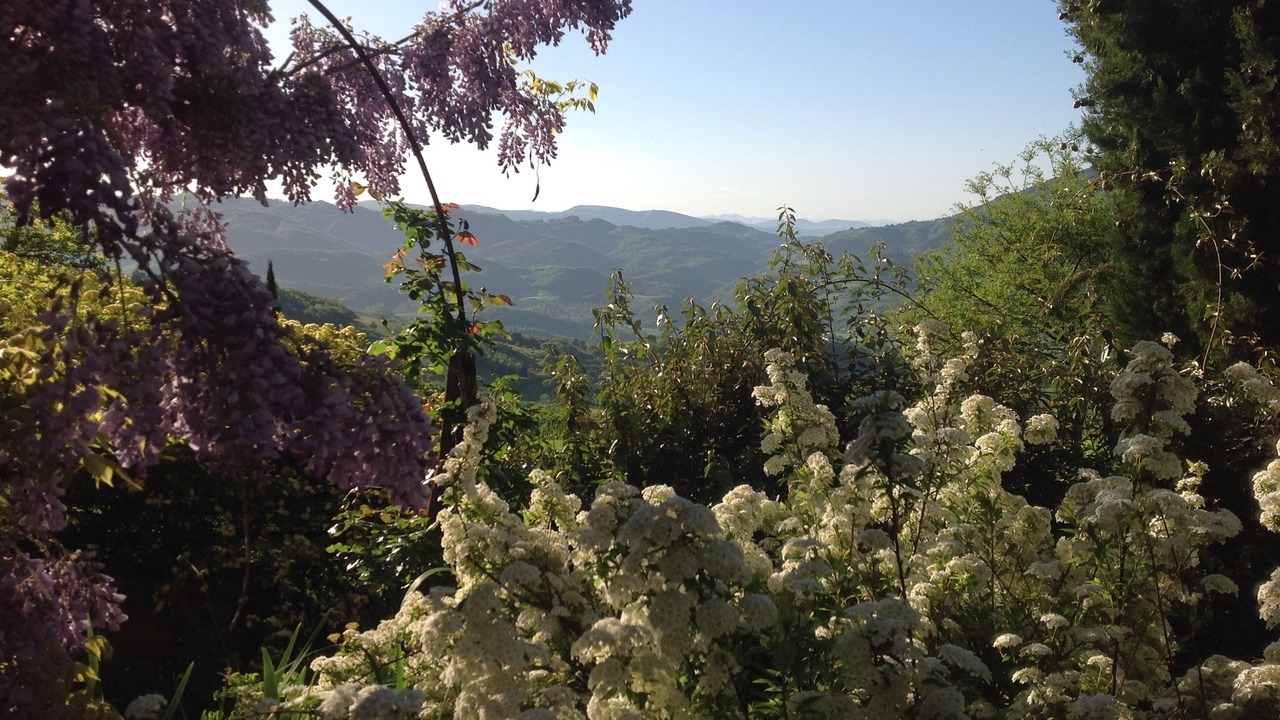 Photo of Outdoor in Assisi
