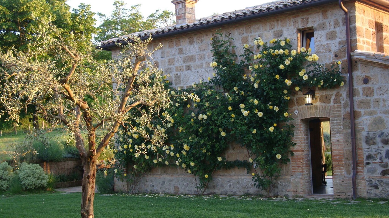 Photo of Others in Porano
