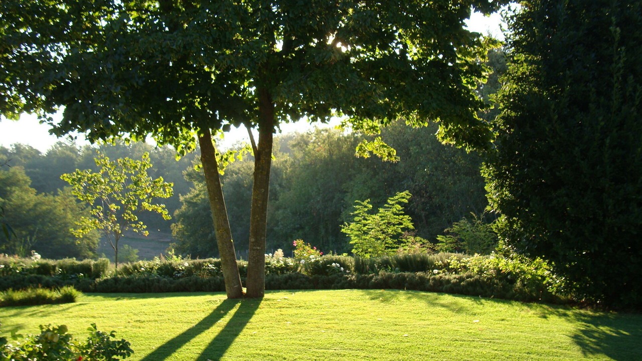 Photo of Outdoor in Porano