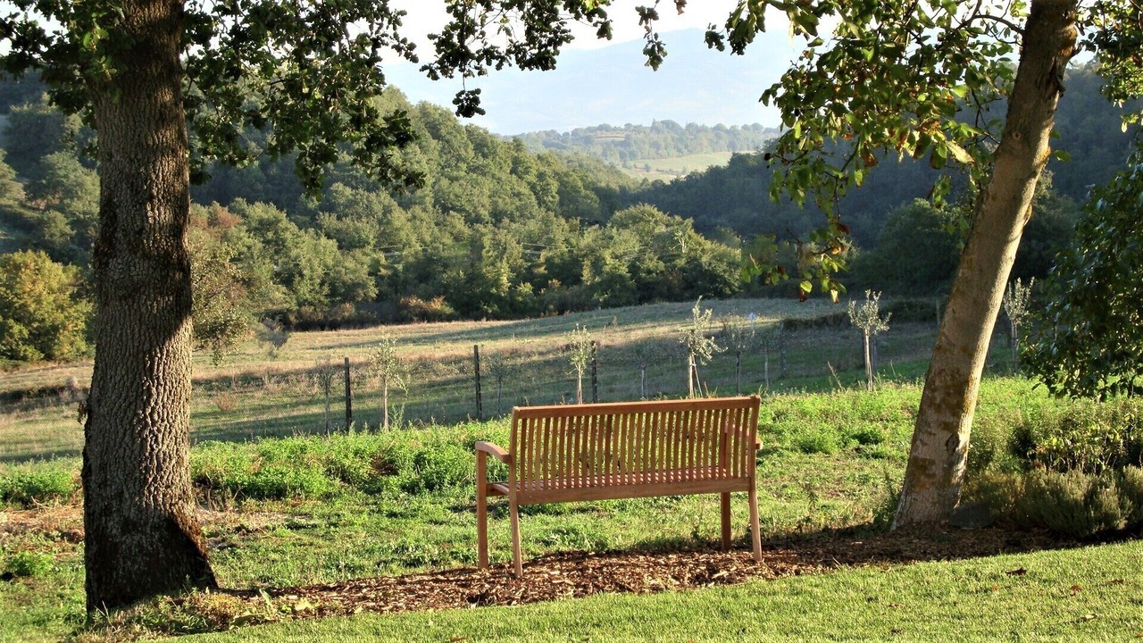 Photo of Outdoor in Porano