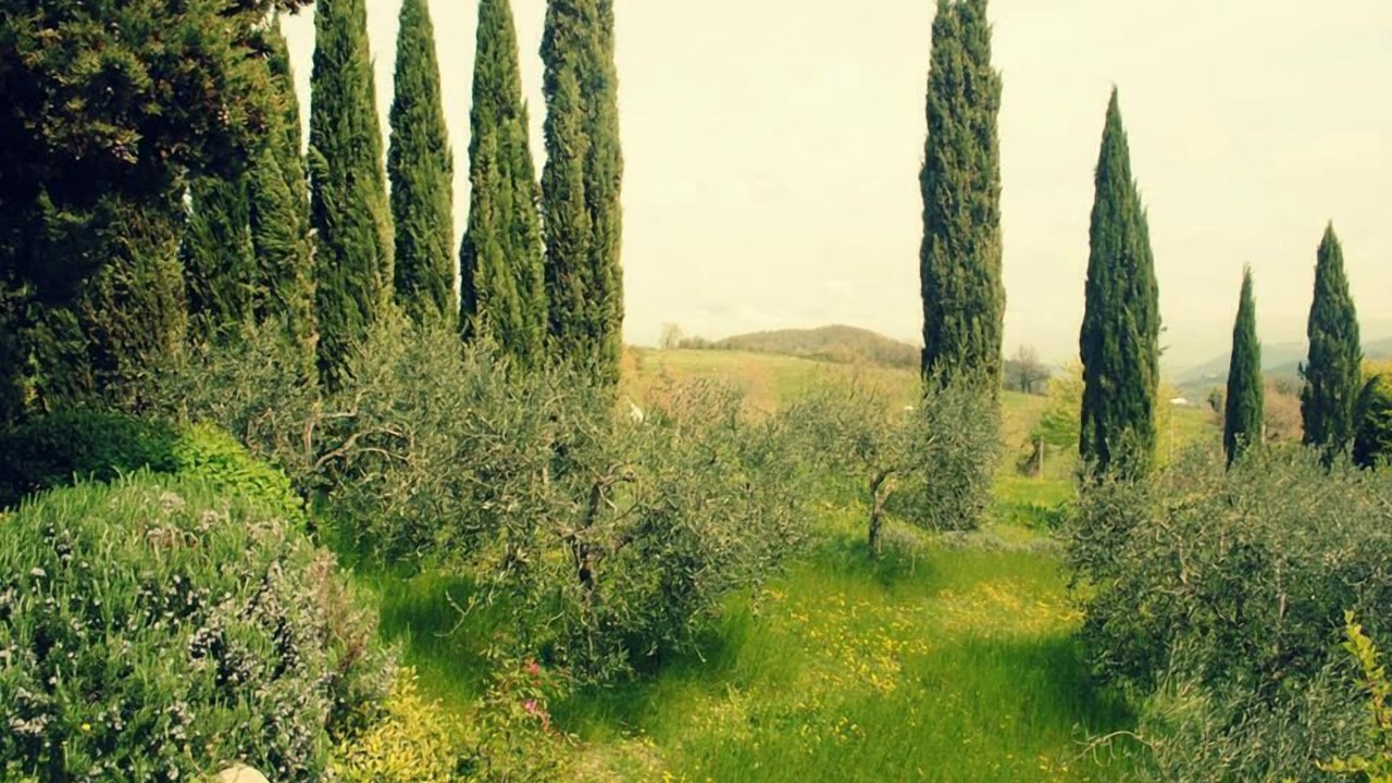 Photo of Others in Messenano