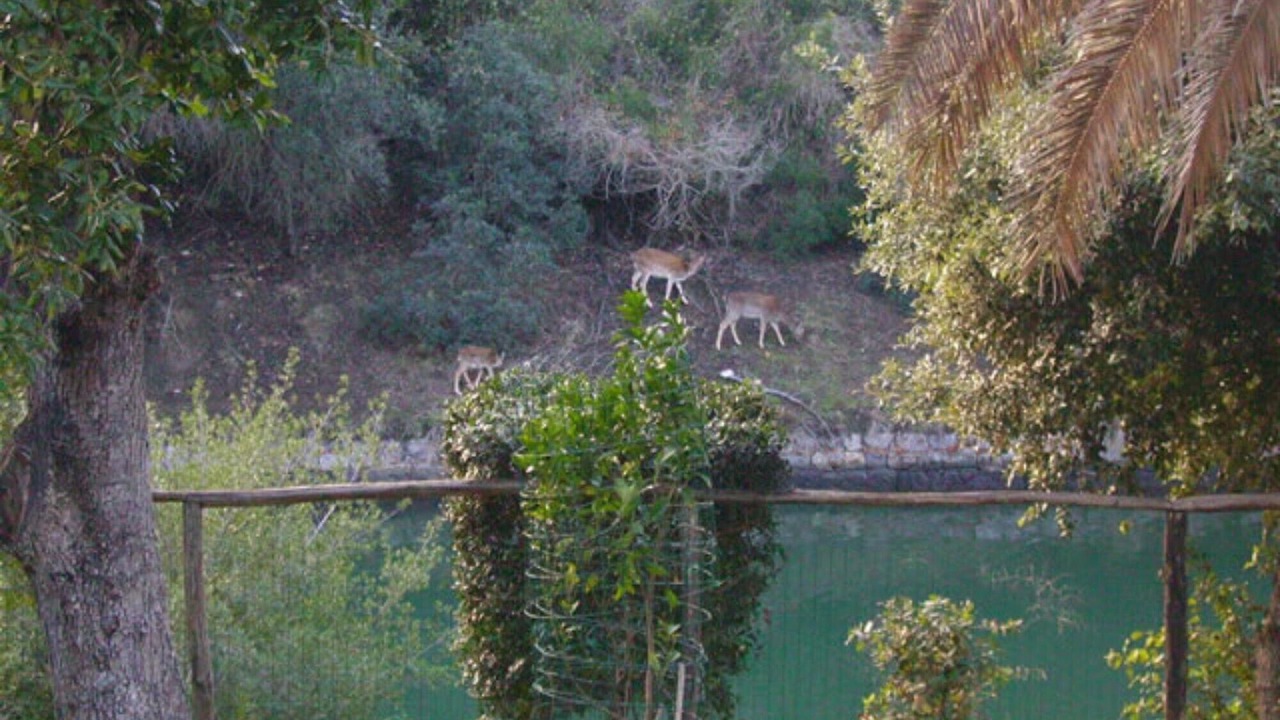 Photo of Outdoor in Ansedonia