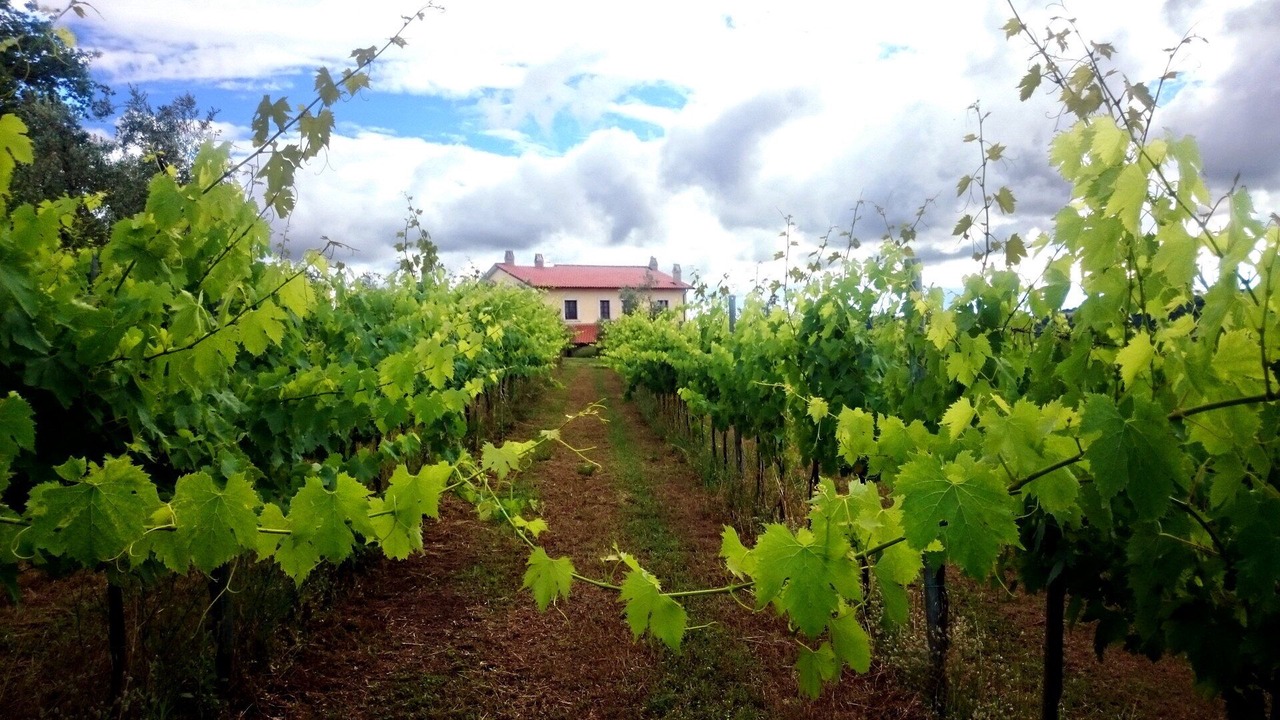 Photo of Outdoor in Castiglione in Teverina